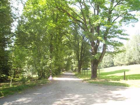Foto 41
